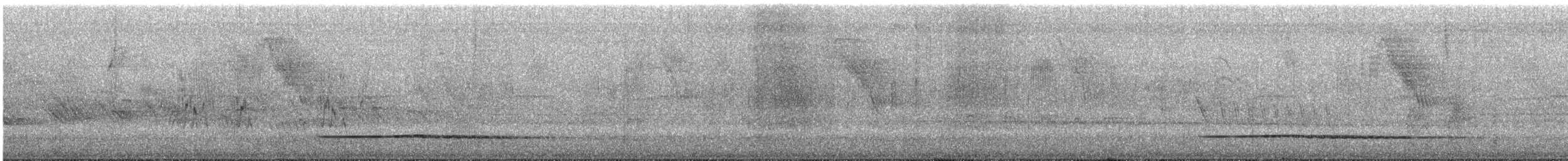 Little Tinamou - ML645852015