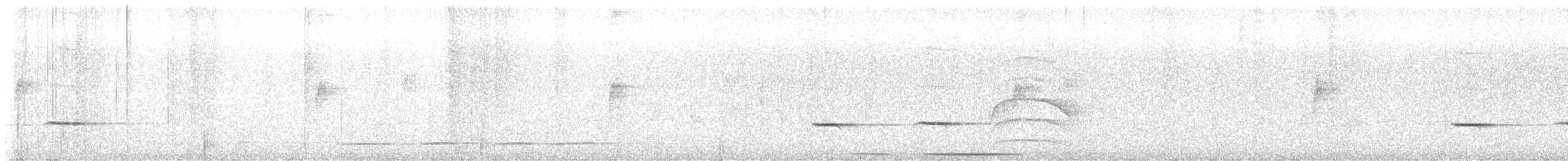 Striped Cuckoo - ML645852268