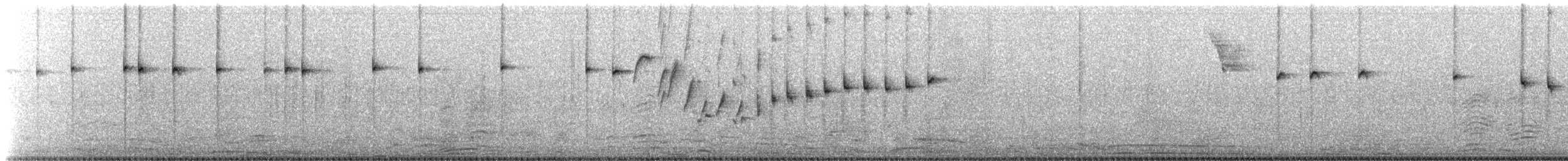 Black-throated Sparrow - ML645852542