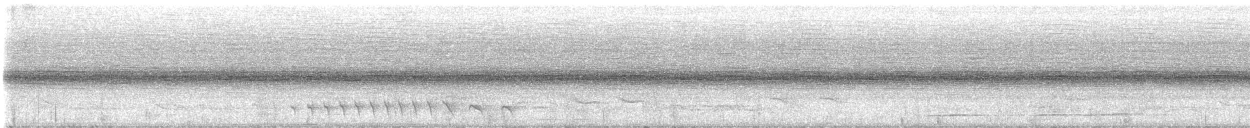 Tiluchí Piquilargo - ML645852697