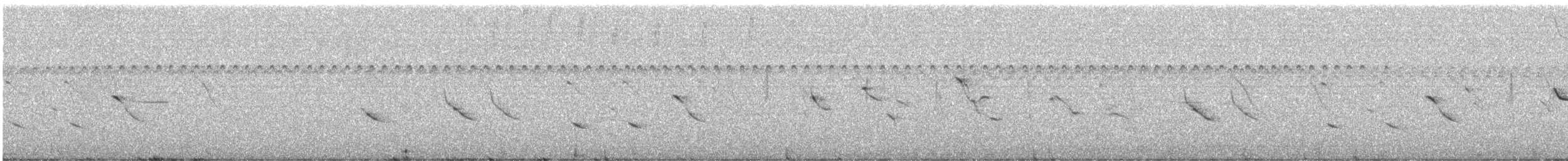 Marsh Seedeater - ML645852786