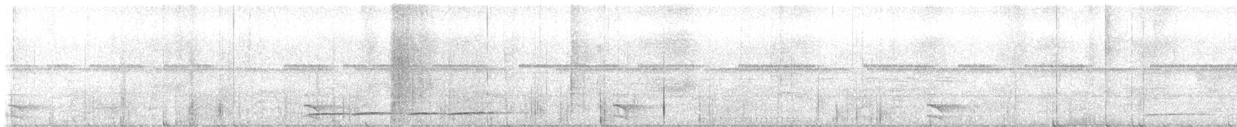 sokolec pralesní - ML645852851