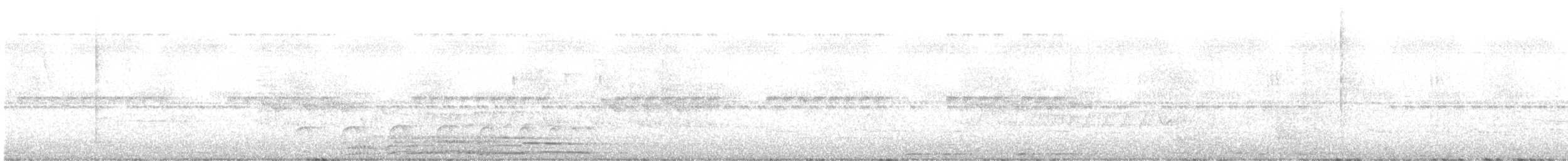 Plain Antvireo - ML645854135