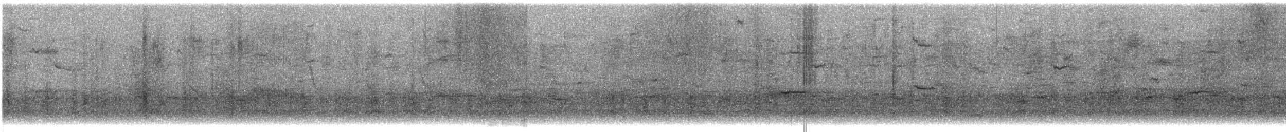 Common Grackle - ML645854329