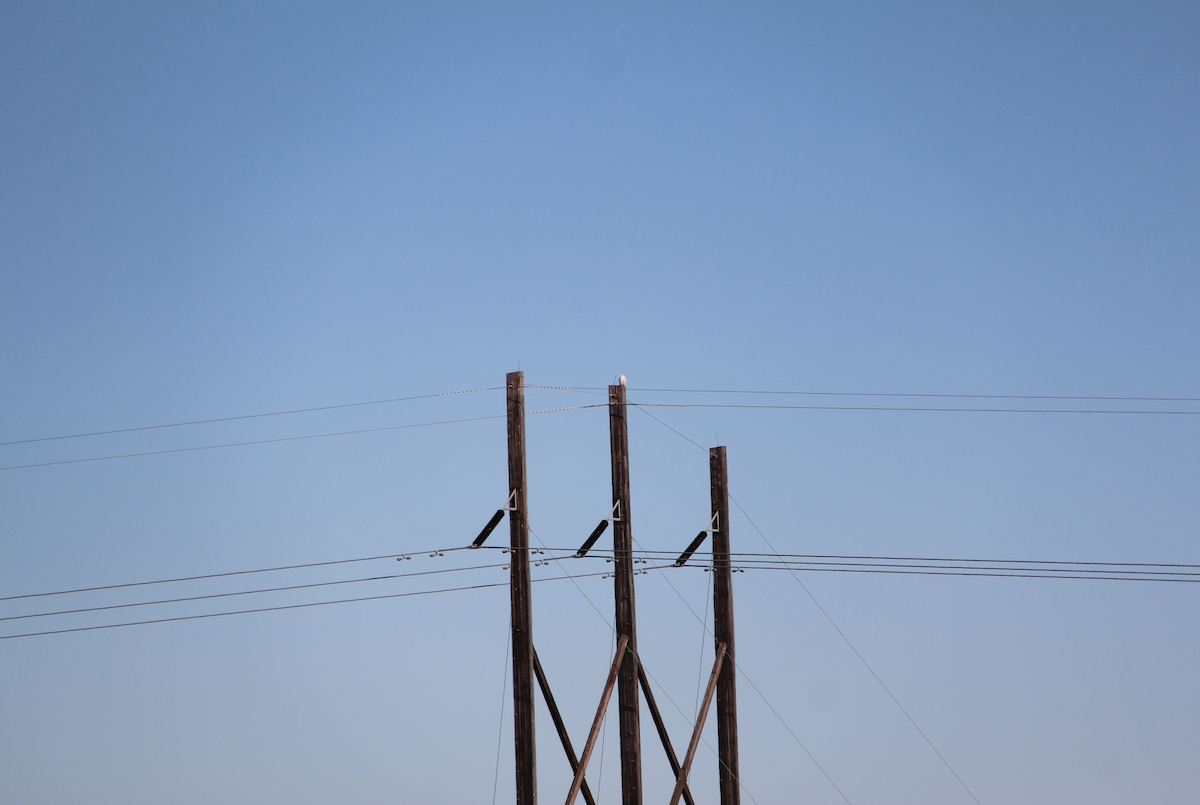 シロフクロウ - ML645854471