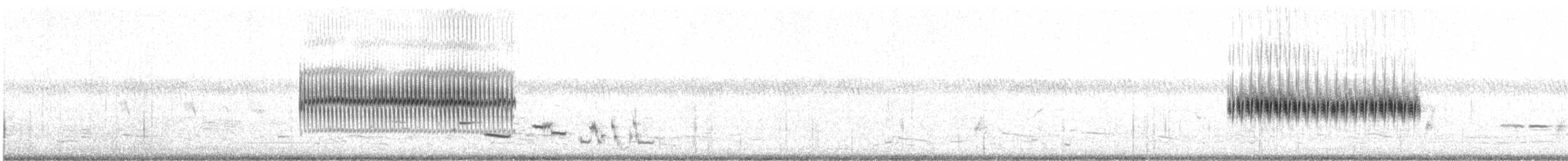 steinursmett - ML645854937