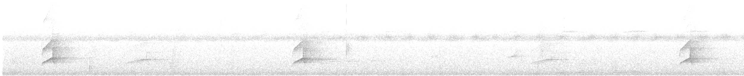 Копетон чубатий - ML645855656