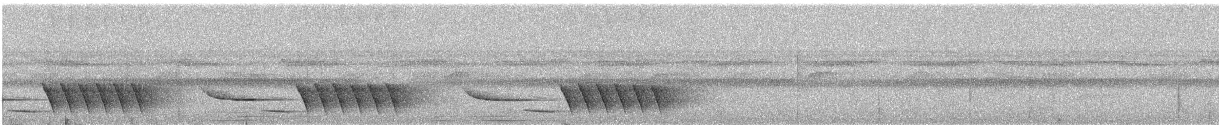 Тріщук біловолий - ML645855740