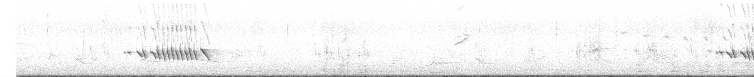 Зерноїд біловусий - ML645855853