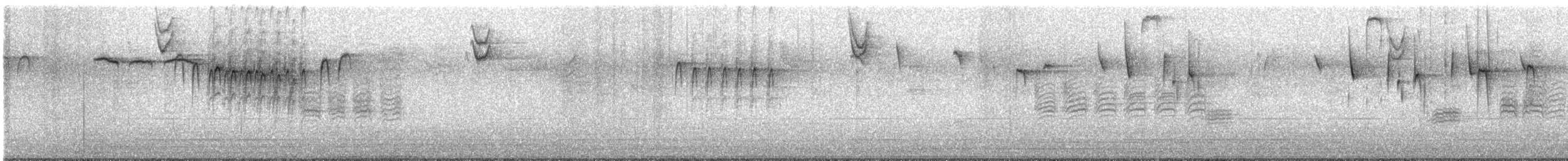 Гаїчка каролінська - ML645855911