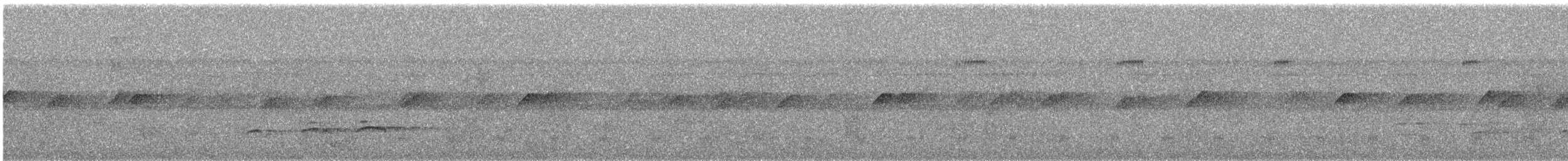 Атіла золотогузий - ML645855985