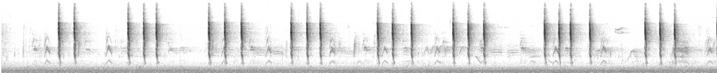 Pasifik Çıtkuşu - ML645857192