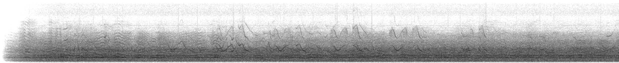 Kral Penguen - ML645857638
