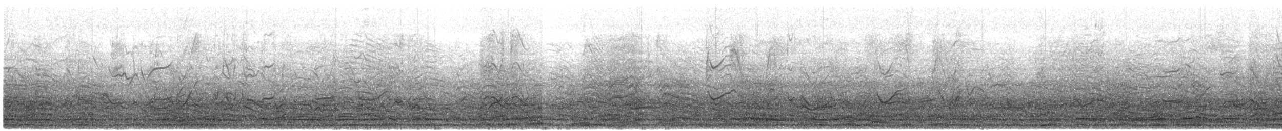 Kral Penguen - ML645857639