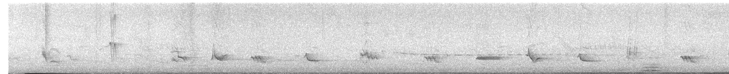 Rahmbauchdrossel - ML645859851