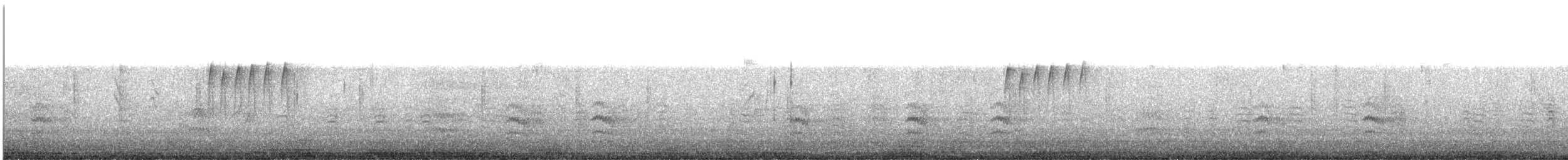 Weißbrustkleiber (aculeata/alexandrae) - ML645860127