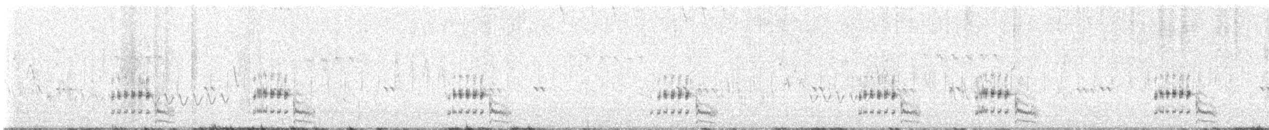 Schieferralle - ML645860207