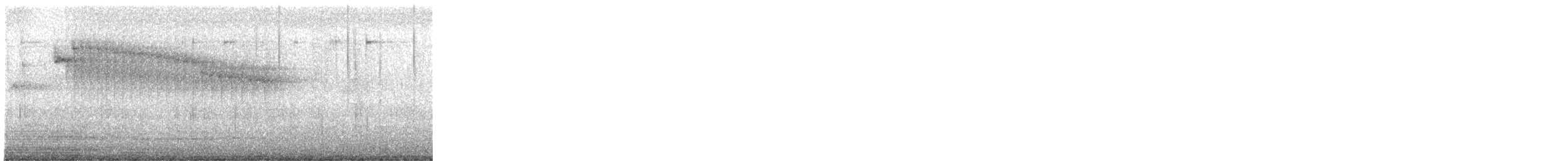 Amazilia Tzacatl - ML645860591