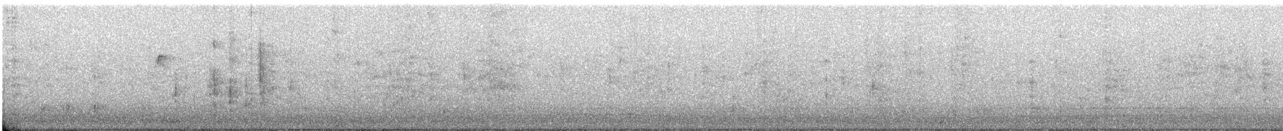 Búho Americano - ML645860863