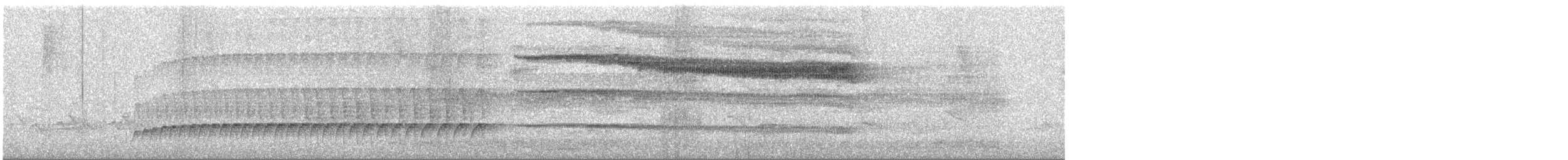 Streifenkehl-Attilatyrann - ML645861355