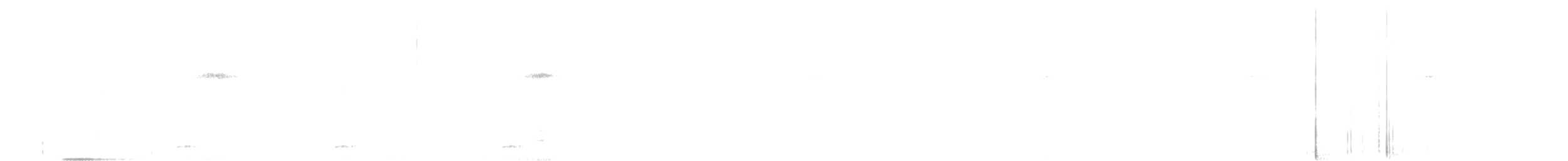 Tody Motmot - ML645861366