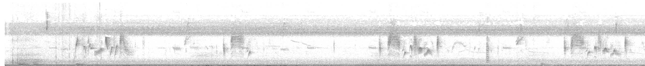 White-eyed Vireo - ML645861766