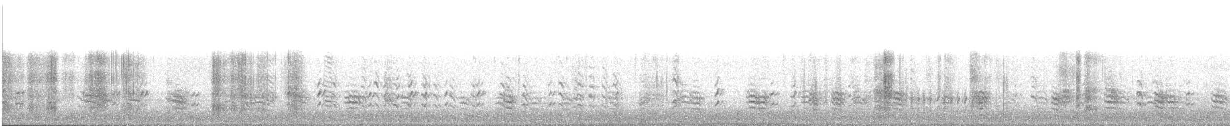 White-breasted Nuthatch - ML645862764