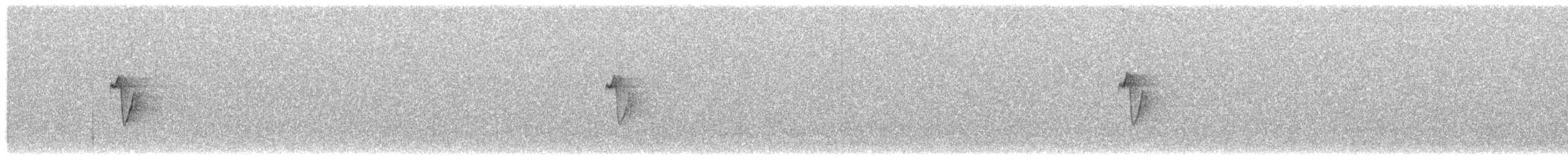 Canary Islands Chiffchaff - ML645862818