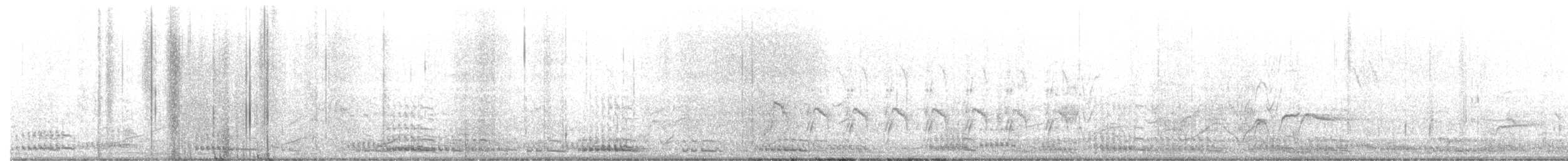 Sandhill Crane - ML645862876