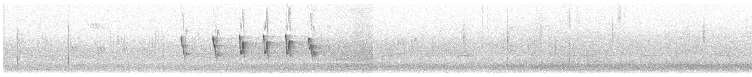 Canary Islands Chiffchaff - ML645862968