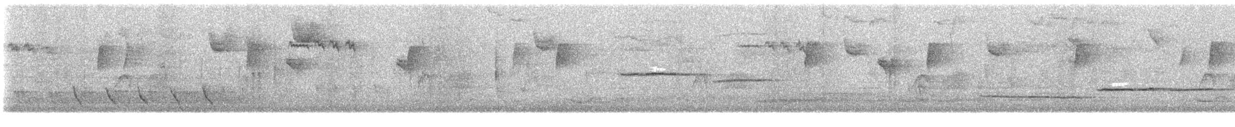 White-throated Sparrow - ML645863507