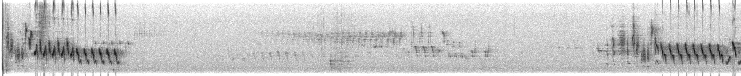 Chochín Criollo Norteño - ML645863663