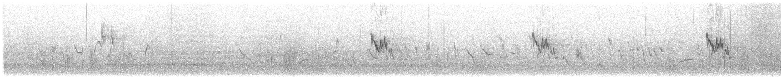 Berthelot's Pipit - ML645863671