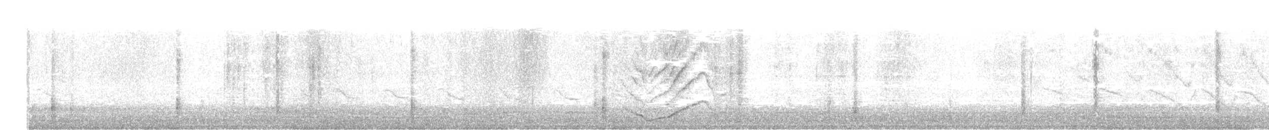 Great-tailed Grackle (Great-tailed) - ML645864174