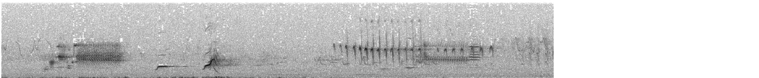 Northern Bobwhite - ML645864458