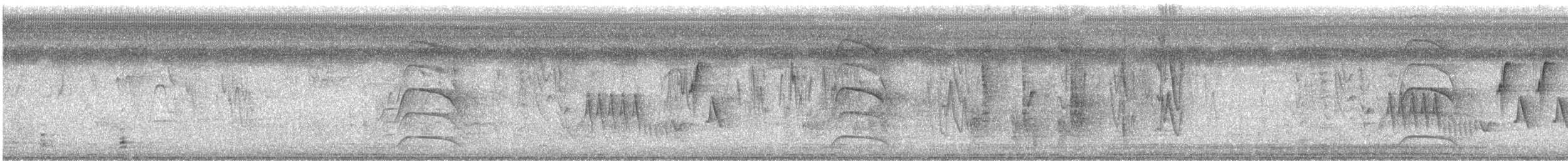 Southern House Wren - ML645865774