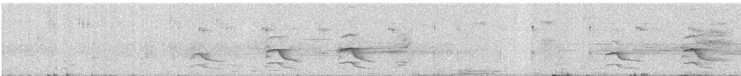 Shikra - ML645866355