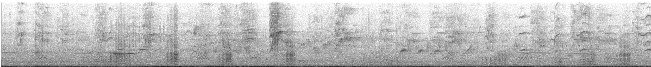 Hardhead - ML645866656