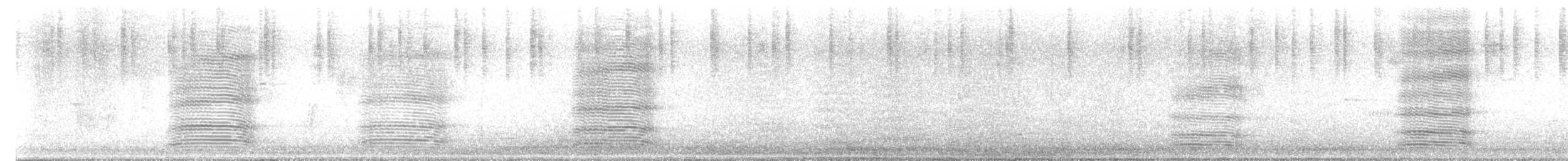 Australian Raven (Western) - ML645866810