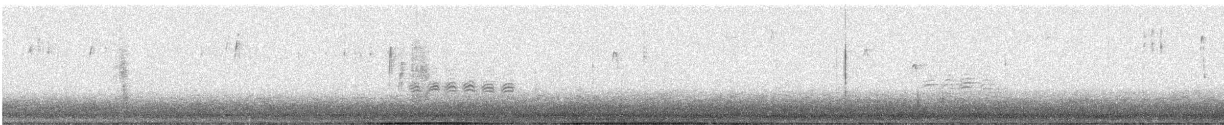 Black-capped Chickadee - ML645867539