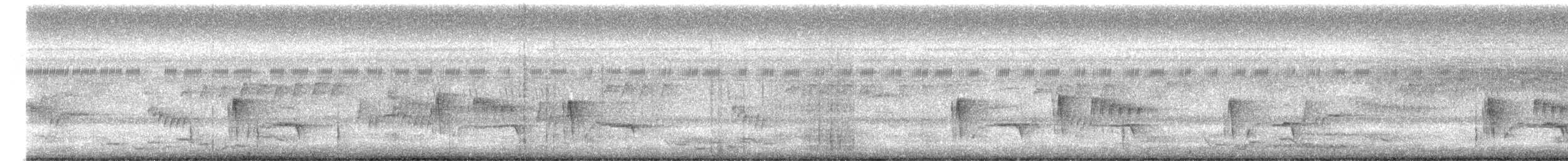 Ashy Tailorbird - ML645867570