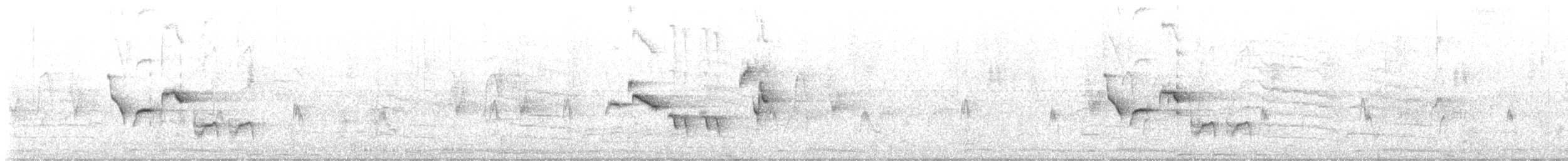 Siberian Rubythroat - ML645867754