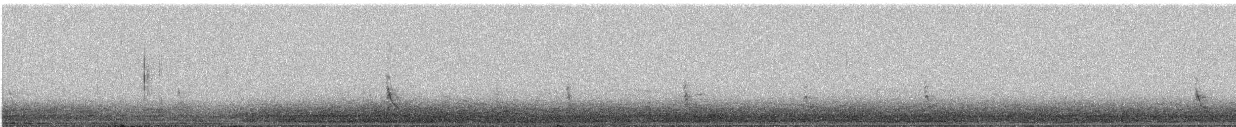 Red-bellied Woodpecker - ML645868117