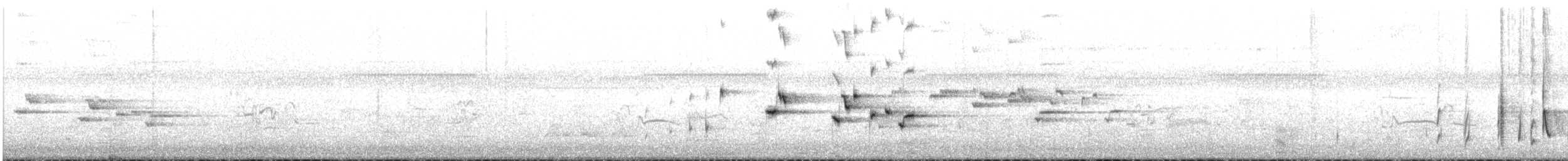 Willie-wagtail - ML645868345