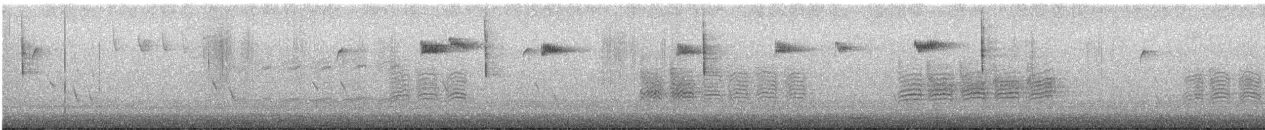passerine sp. - ML645868765