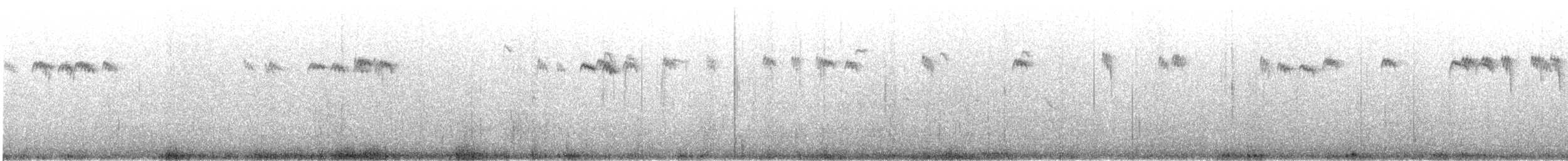 Buztanluze arrunta - ML645868828