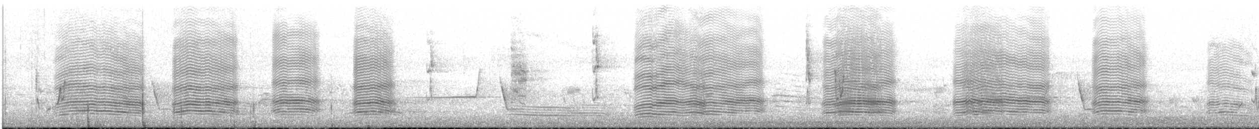 Australian Raven - ML645868864