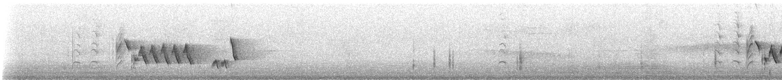 Southern House Wren - ML645869100