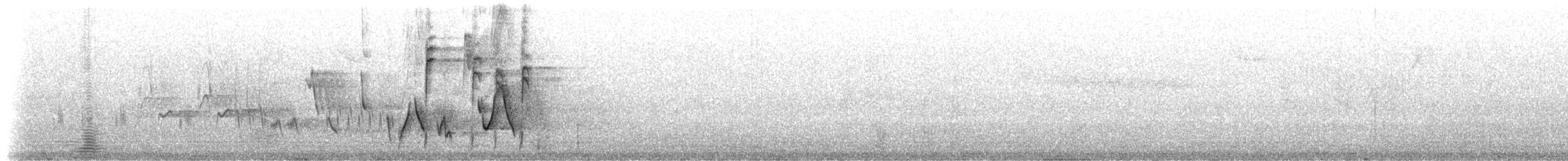 キバシイカル - ML645869210