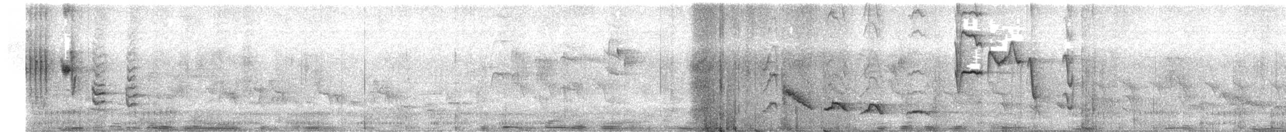 Indian Blackbird - ML645869265